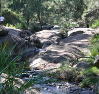 Towarri National Park - Accommodation Sunshine Coast