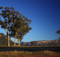 Capertee Valley Bird Trail - Accommodation Sunshine Coast