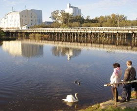 Avon River - Accommodation Sunshine Coast 1
