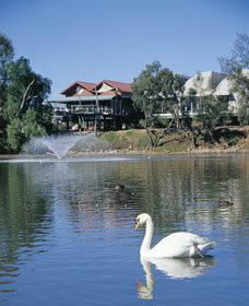 Avon River - Accommodation Sunshine Coast 3