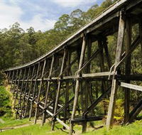 Noojee Trestle Bridge - Accommodation Sunshine Coast