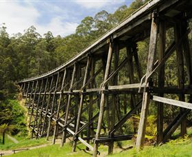 Noojee Trestle Bridge - Accommodation Sunshine Coast 0