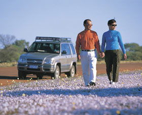 Canna Reserve - Accommodation Sunshine Coast 1