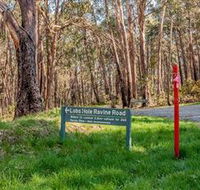 Lobs Hole Ravine 4WD Trail - Accommodation Sunshine Coast