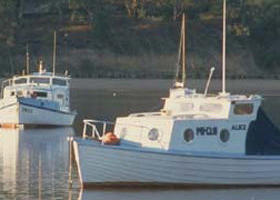 Western Port - Accommodation Sunshine Coast 0