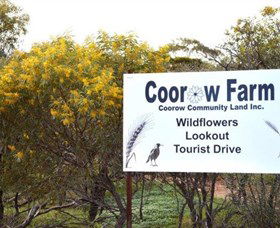 Coorow Farm Wildflower Trail - Accommodation Sunshine Coast 0