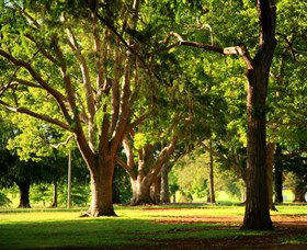 Queens Park, Toowoomba - Accommodation Sunshine Coast 1