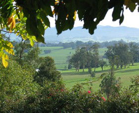 Brandy Creek Wines & View Cafe - Accommodation Sunshine Coast 5