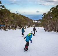 Mt Baw Baw Alpine Resort - Accommodation Sunshine Coast