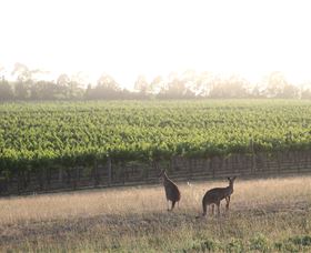 Small Forest Wine - Accommodation Sunshine Coast 0