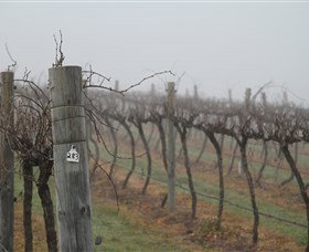 Small Forest Wine - Accommodation Sunshine Coast 1