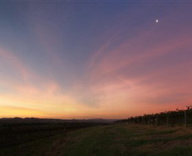 Small Forest Wine - Accommodation Sunshine Coast 2