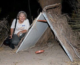 Barna Mia Native Animal Sanctuary - Accommodation Sunshine Coast 3
