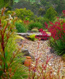 Ungulla Country Garden - Accommodation Sunshine Coast 1
