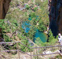 Carlotta Arch walking track - Accommodation Sunshine Coast