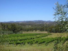 Pyramids Road Wines - Accommodation Sunshine Coast 3