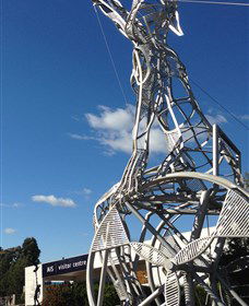 Australian Institute Of Sport (AIS) - Accommodation Sunshine Coast 0