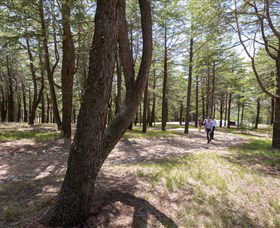 The National Arboretum Canberra - Accommodation Sunshine Coast 3