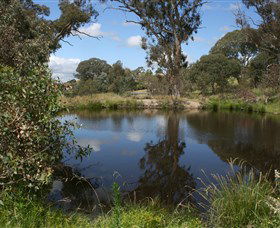 Cooleman Ridge - Accommodation Sunshine Coast 0