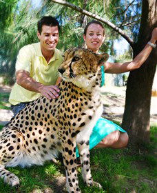 National Zoo & Aquarium - Accommodation Sunshine Coast 0