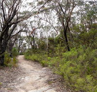 Six Foot walking track - Accommodation Sunshine Coast
