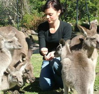 Canons Shuttles Day Tours - Accommodation Sunshine Coast