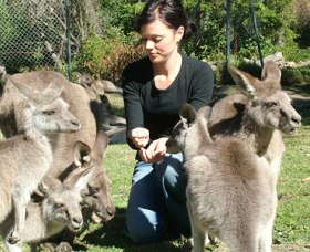 Canons Shuttles Day Tours - Accommodation Sunshine Coast 0