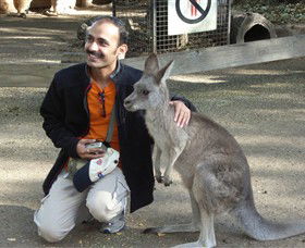 Activity Tours Australia - Accommodation Sunshine Coast 3