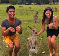 Runaway Tours - Accommodation Sunshine Coast