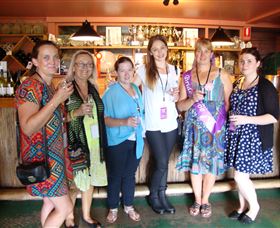 Shire Shuttle Bus  - Accommodation Sunshine Coast 1