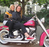 Wild Ride Harley and Motorcycle Tours - Accommodation Sunshine Coast