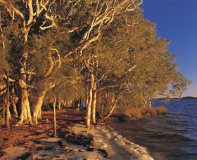 East Coast Adventure Bus - Accommodation Sunshine Coast 2