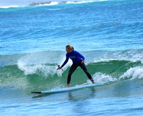 East Coast Adventure Bus - Accommodation Sunshine Coast 3