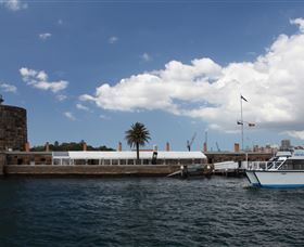 H2O Maxi Taxis - Accommodation Sunshine Coast 0