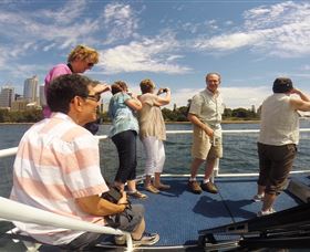 H2O Maxi Taxis - Accommodation Sunshine Coast 2