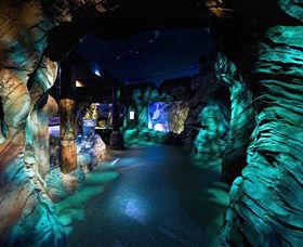 SEA LIFE Sydney Aquarium - Accommodation Sunshine Coast 3
