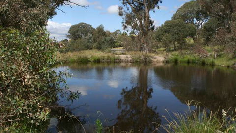 Cooleman Ridge - Accommodation Sunshine Coast 3