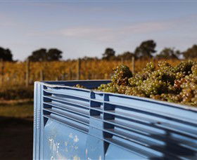 Quealy Winemakers - Accommodation Sunshine Coast 3