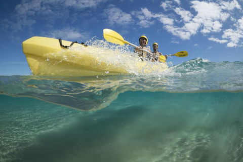 Cape Byron Kayaks - Accommodation Sunshine Coast 2
