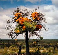 The Delmar Gallery - Accommodation Sunshine Coast