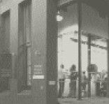 Haberfield NSW Accommodation Sunshine Coast