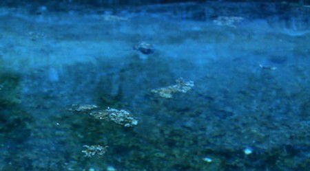 Anna Schwartz Gallery Sydney - Accommodation Sunshine Coast 2