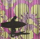 Iain Dawson Gallery - Accommodation Sunshine Coast 2