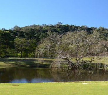 Antill Park Country Golf Club - Accommodation Sunshine Coast 1