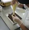 Fremantle Chocolate Pty Ltd - Accommodation Sunshine Coast 1