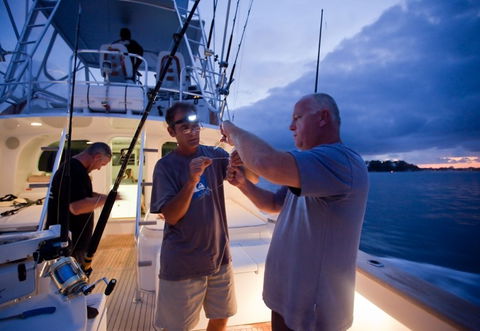 Amokura Charters - Accommodation Sunshine Coast 1