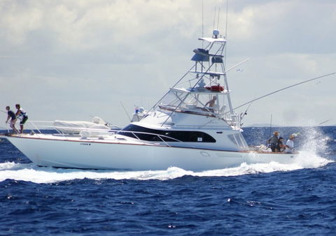 Amokura Charters - Accommodation Sunshine Coast 2