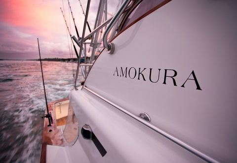 Amokura Charters - Accommodation Sunshine Coast 4