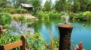Gone Walkabout Safaris - Accommodation Sunshine Coast 0