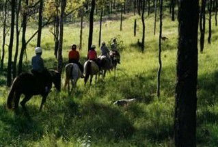 Windella NSW Accommodation Sunshine Coast